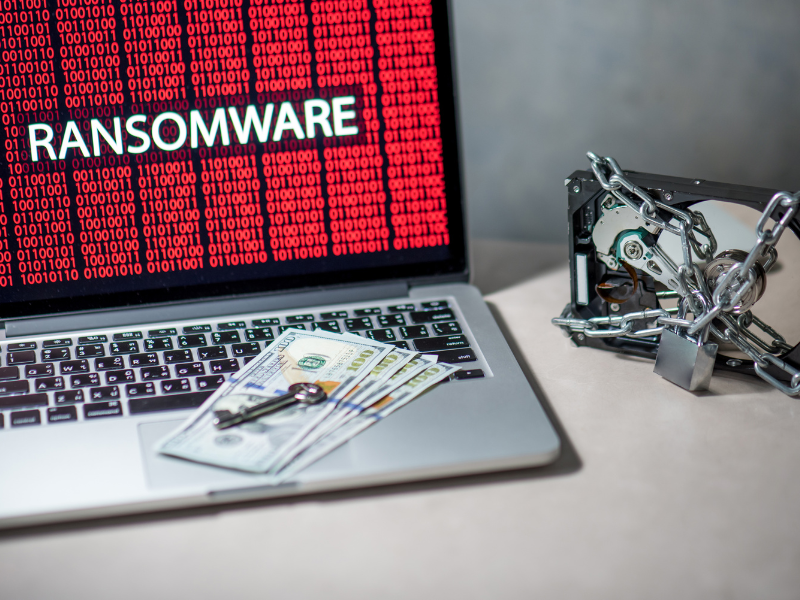 Cyberattacks Hit Kannact &#038; Vincera Institute, Data Compromised