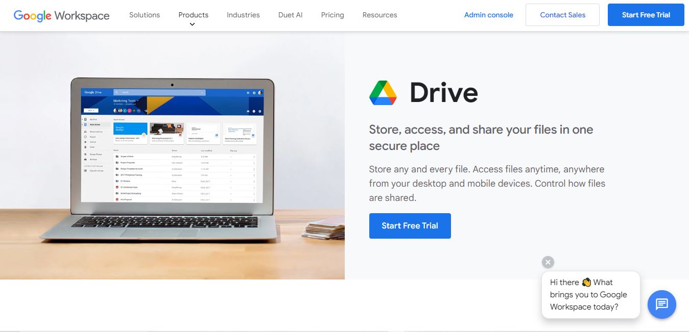 googledrive free document sharing solution
